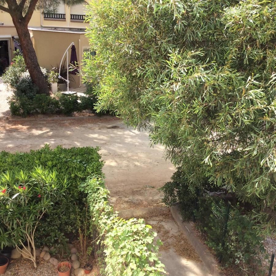 Appartement F1 Calvi A 150 Metres De La Plage Eksteriør bilde